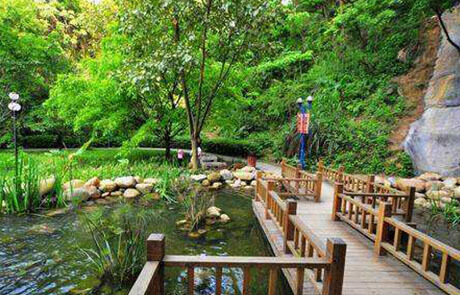 amazing shenzhen 02